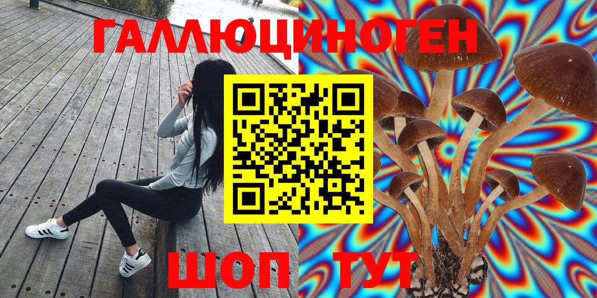 Галлюциногенные грибы Psilocybine cubensis Приморско-Ахтарск