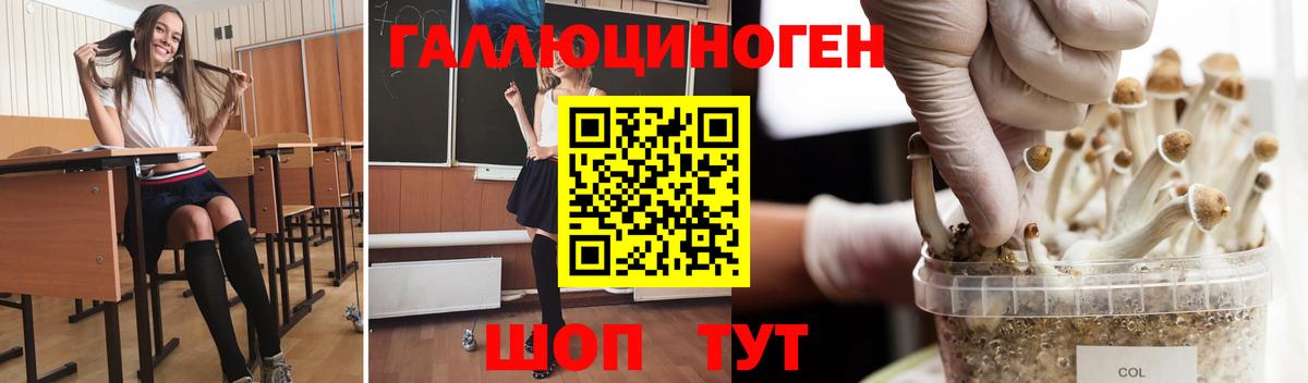 даркнет сайт  Галлюциногенные грибы Magic Shrooms  Вход с VPN  Псилоцибиновые грибы мицелий  Приморско-Ахтарск 